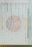 Среднее проф. образование 2011-2026